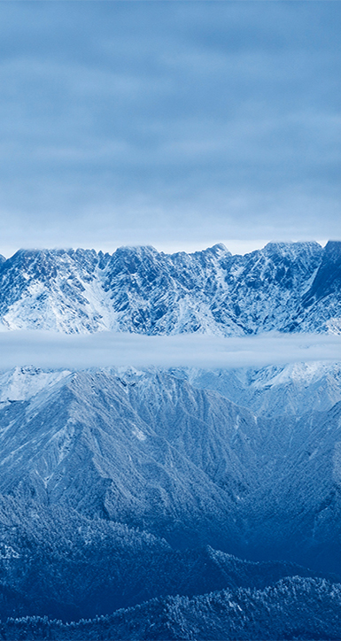 关于香港马买马网站