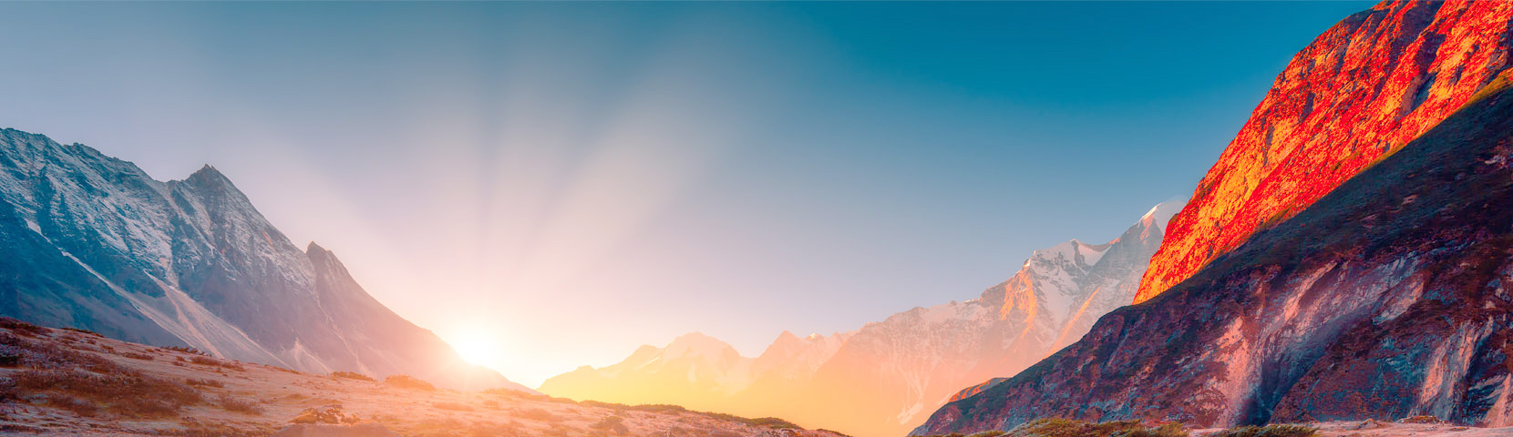 关于香港马买马网站